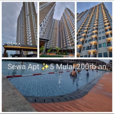 WhatsApp Image 2025-10-19 at 21.06.41